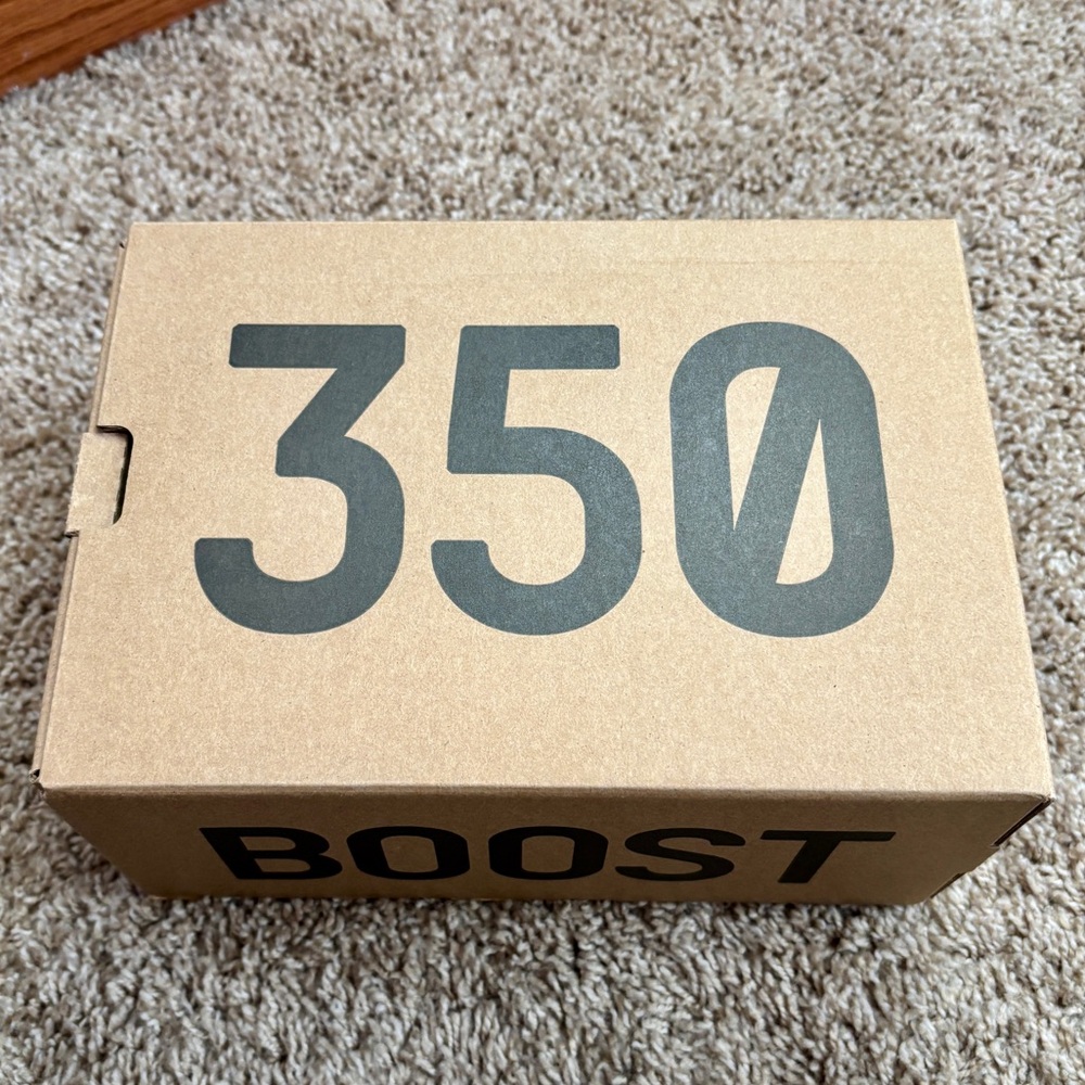 Yeezy 350 - Picture 3 of 11